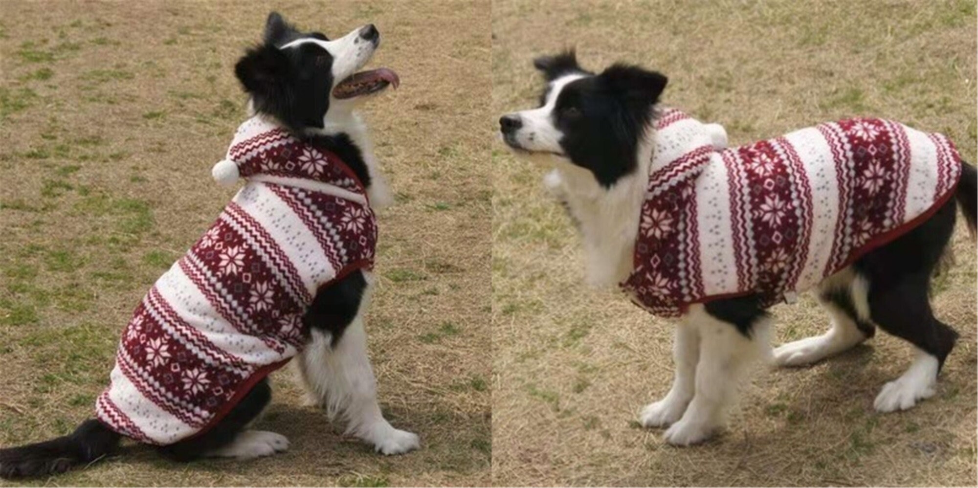 Warm jumpsuits for your dog/pet jumpsuits /fashion Etsy