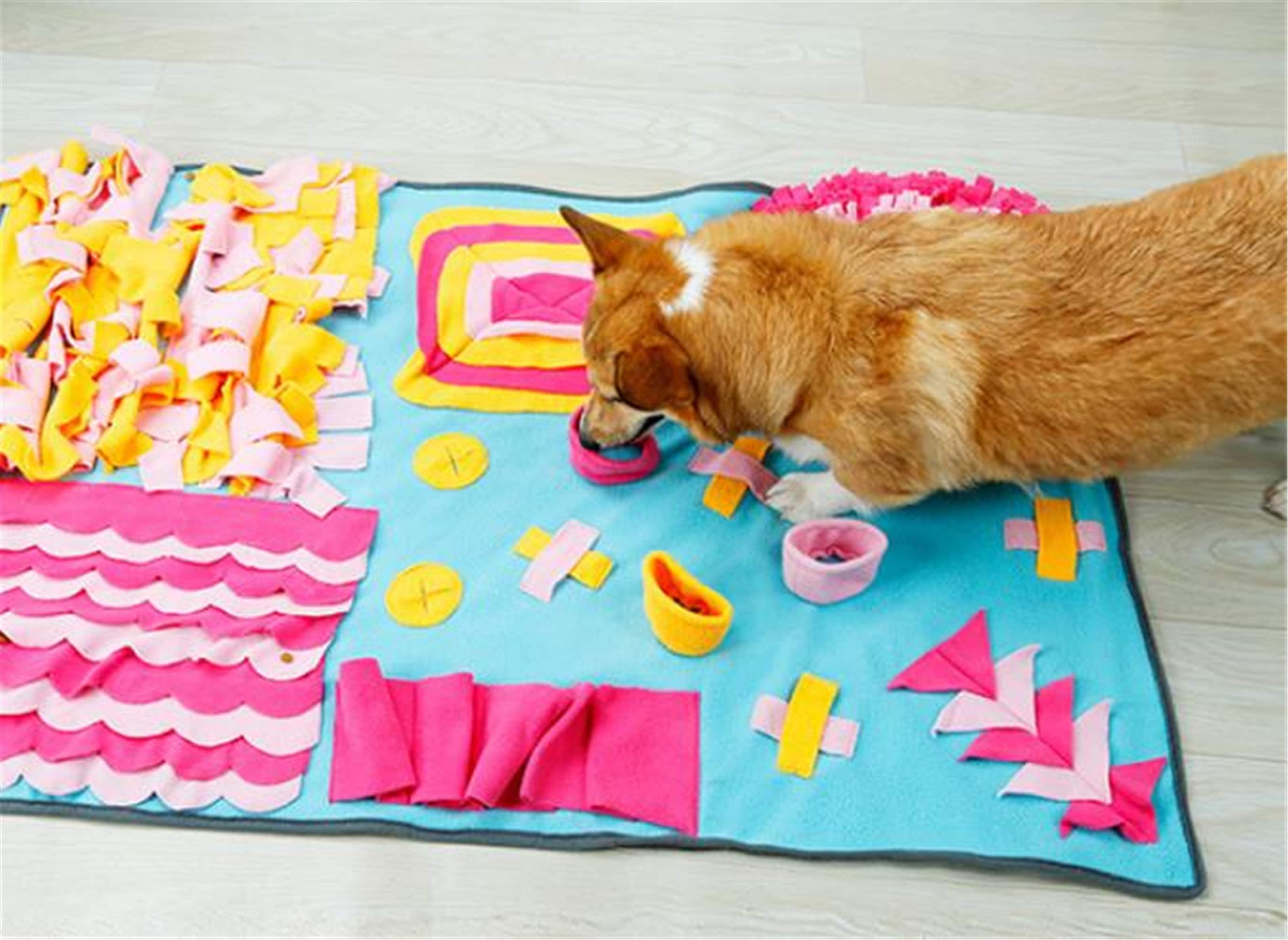 Puppy toolsPet toy blanketBlanket for puppyPlay for Etsy