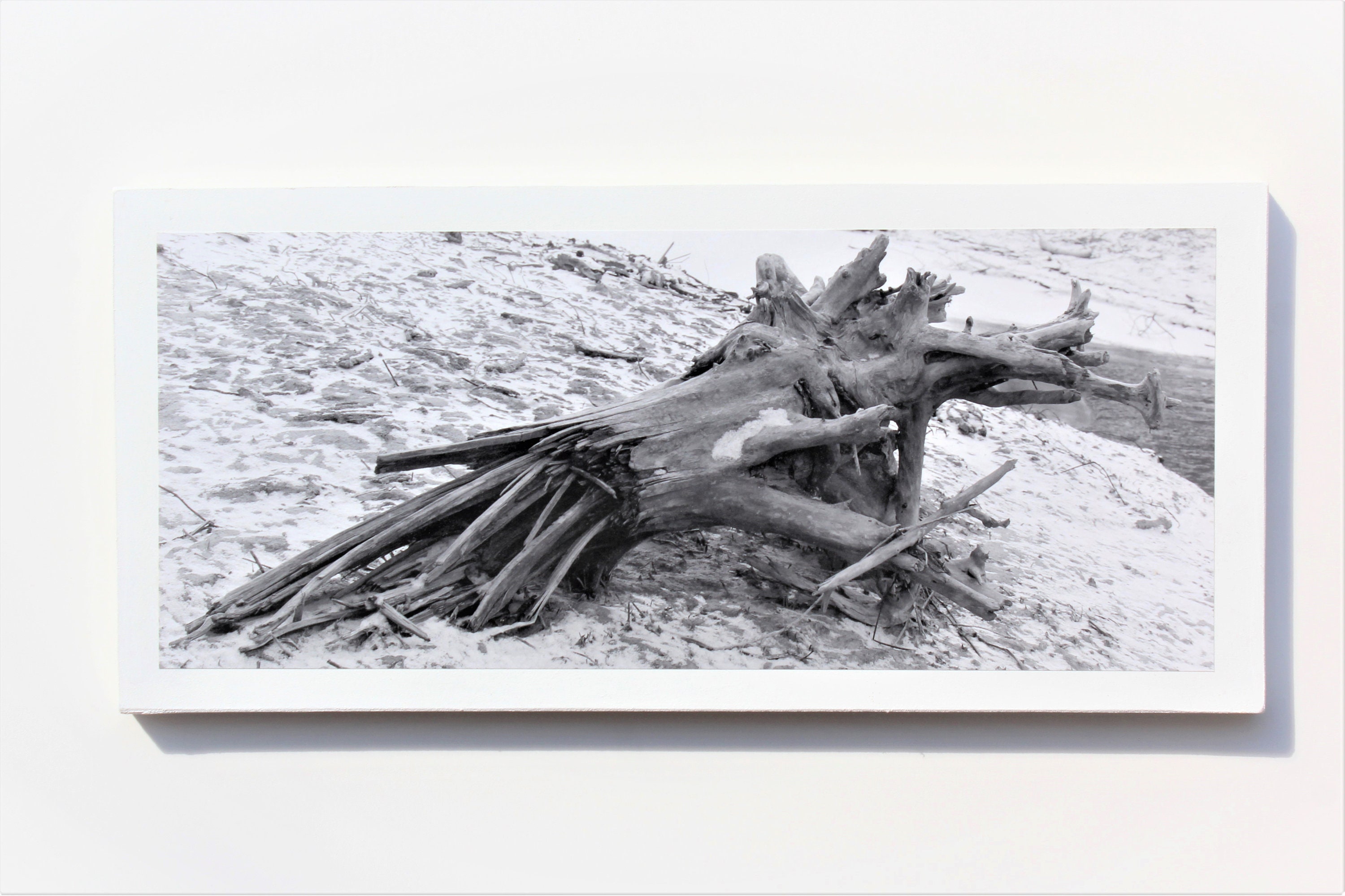 Fine art Nature photography find out more. | Etsy