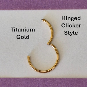 Peut inclure: Un anneau de nez de style clicker articulé doré en titane. Le texte "Titanium Gold" est imprimé sur le côté gauche de l'image et "Hinged Clicker Style" sur le côté droit.