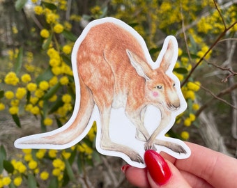 May include: A sticker featuring a detailed illustration of a kangaroo in shades of brown and tan. The kangaroo is depicted in a dynamic pose, with its tail extended and its front paws touching. The sticker has a white border.