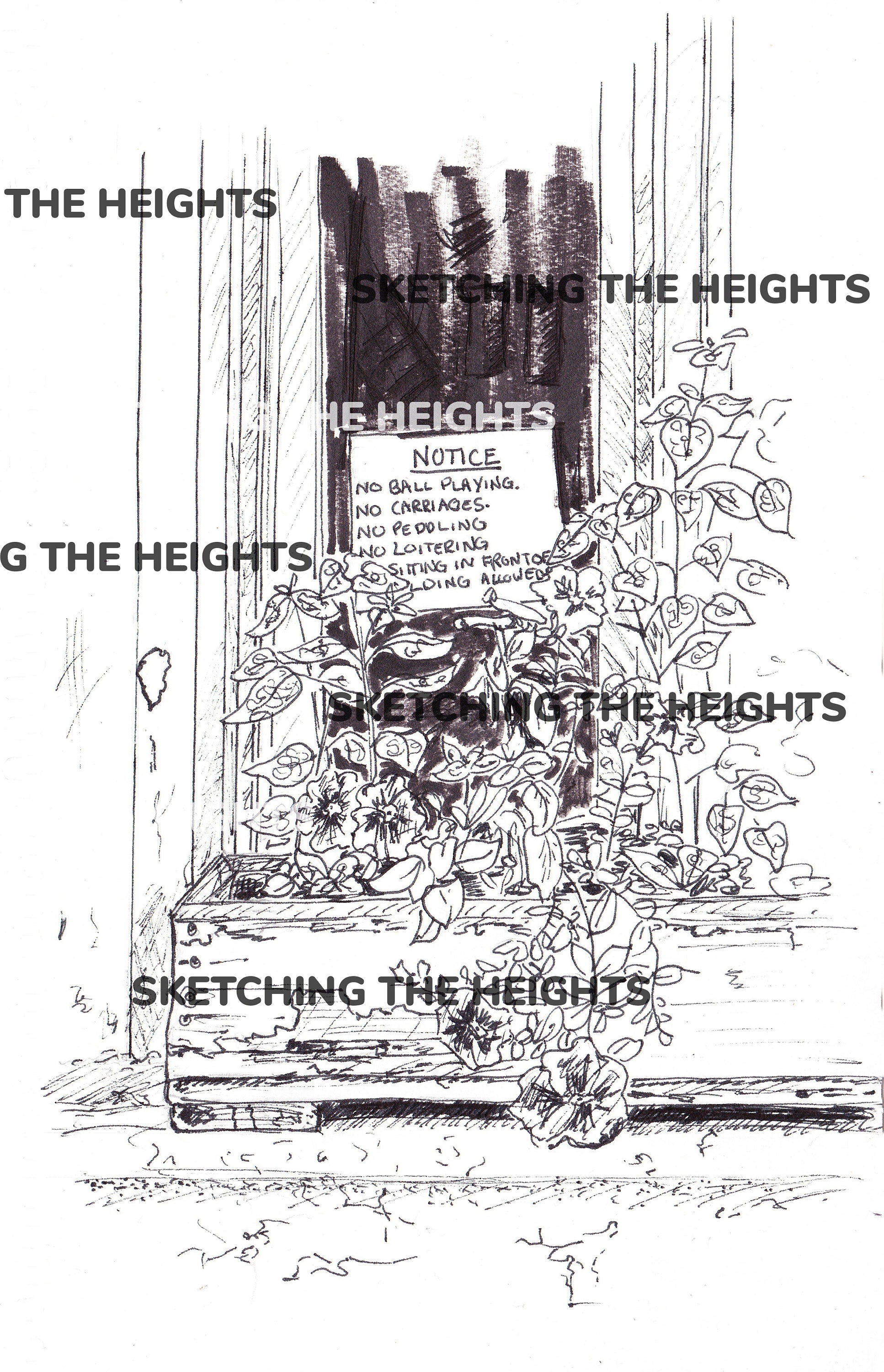 Notic Drawings Notice - Ink Sketch Digital Download - Etsy