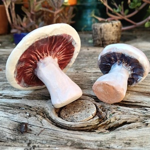 Puede incluir: Dos figuritas de champiñones de cerámica, una con un sombrero rojo y blanco y la otra con un sombrero morado y blanco, están sentadas sobre una superficie de madera.