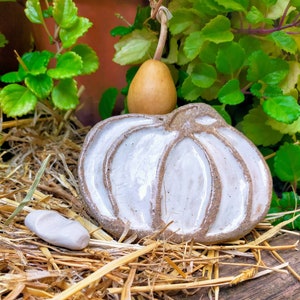 Peut inclure: Une citrouille en céramique blanche avec une surface texturée repose sur un lit de paille. Une petite gourde beige est posée sur la citrouille.
