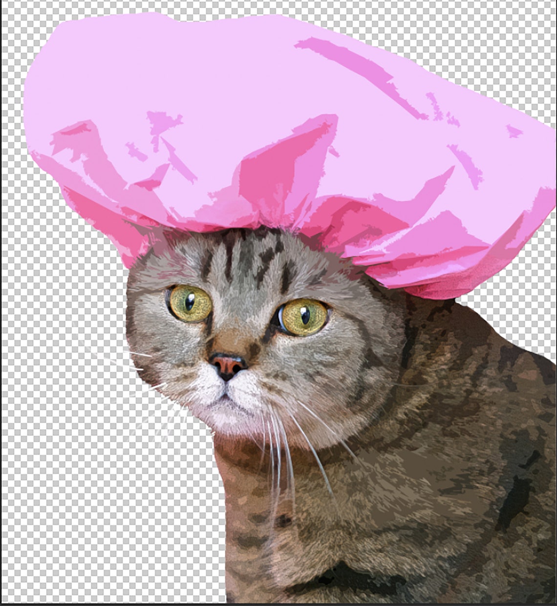 Cute Cat Wearing Shower Cap Poster Art Illustration INSTANT Etsy