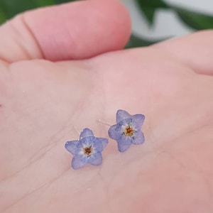 Forget me not sterling silver pressed flower earrings. Forget me not stud earrings. Tiny real flower stud earrings. Wedding earrings