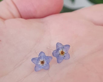 Vergissmeinnicht-Ohrstecker aus Sterlingsilber: Schmuck aus gepressten Blüten