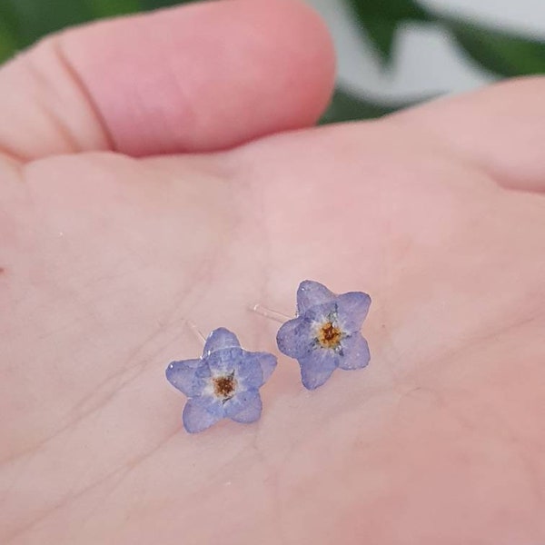 Vergissmeinnicht Sterlingsilber-Ohrringe mit gepressten Blumen. Vergissmeinnicht-Ohrstecker. Winzige Ohrstecker mit echten Blumen. Hochzeitsohrringe