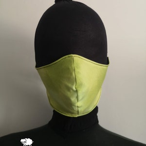 Face Mask