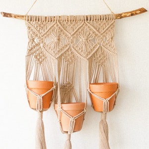Può includere: Un portavasi in macramè con tre vasi in terracotta appesi. Il portavasi è realizzato in corda di cotone beige naturale e ha un bastone di legno nella parte superiore.