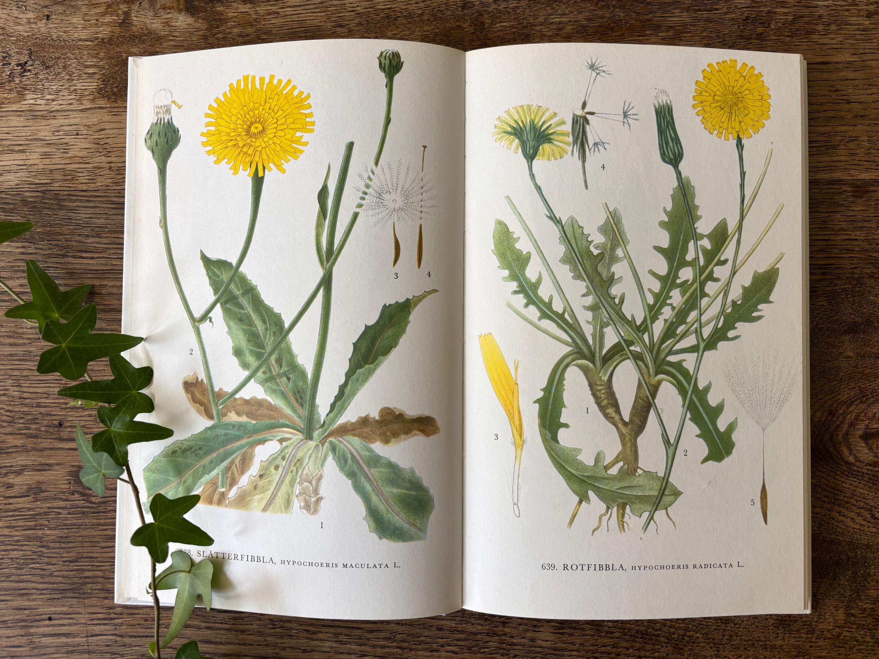 Nordens Flora Book - Etsy