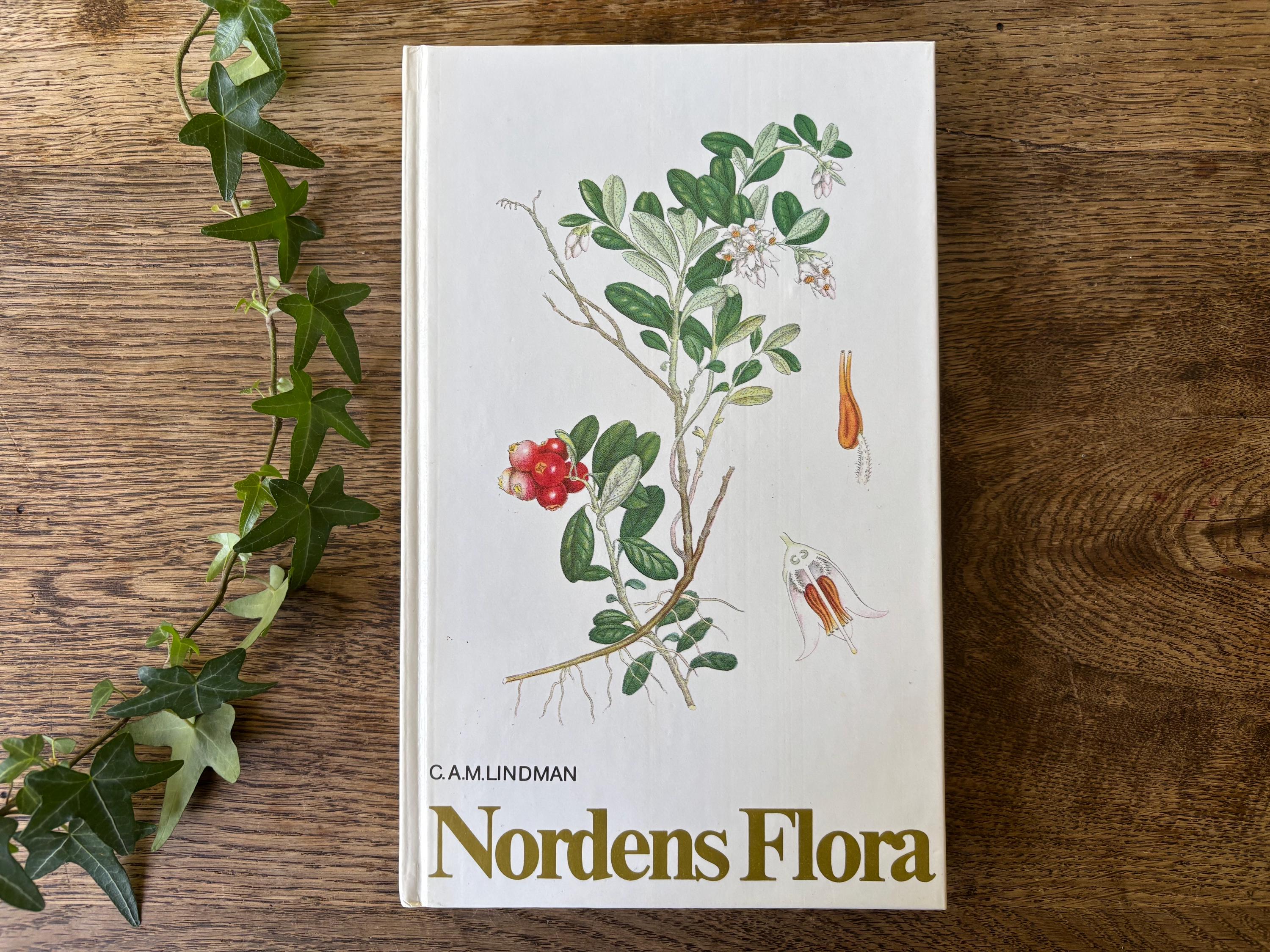 Nordens Flora 植物図鑑 C.A.M. Lindman　第3巻 Nordens Flora - Number 3 - C.A.M. Lindman - Swedish