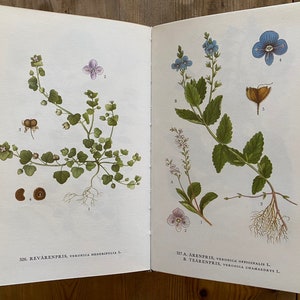 Nordens Flora Set of 10 Books - Etsy