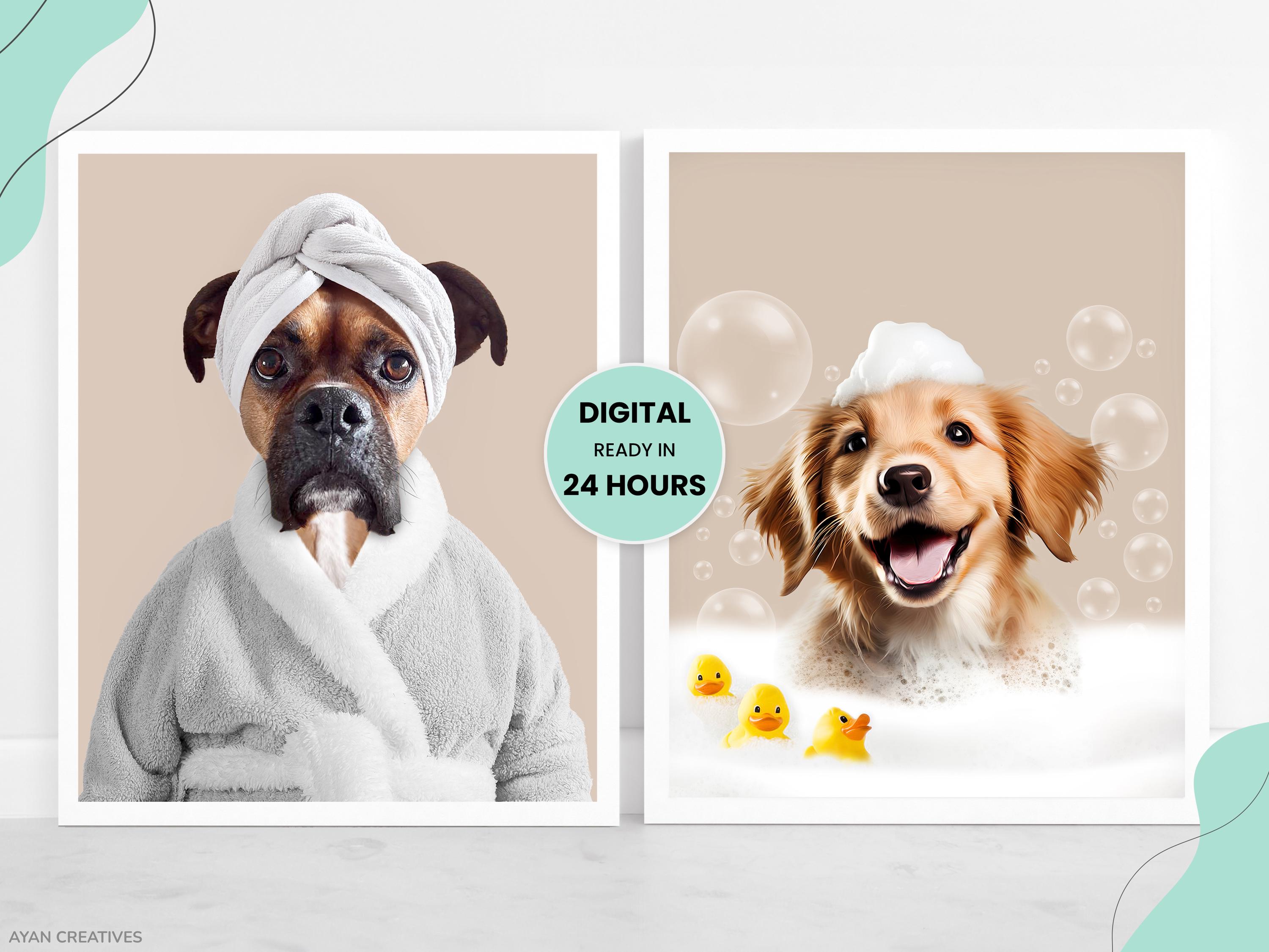 Inoe Best Outdoor Dog Toys Inoe What Happens If You Wash Your Dog - Main Image