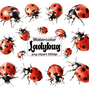 Clipart aquarel lieveheersbeestje: png-bundel voor sublimatie (digitale download)