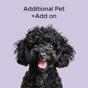 May include: A black poodle with curly fur is smiling with its mouth open. The dog is looking directly at the camera. The background is a light purple color. The text 