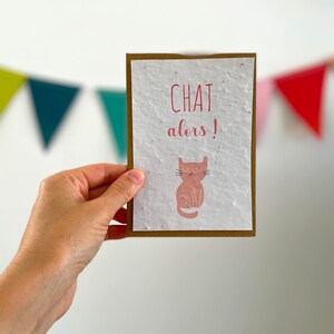 ¡Tarjeta para plantar humor, Gato pues!