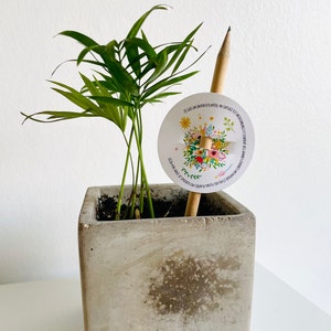 Bloempotlood. potlood dat groeit. minnares cadeau. meester geschenk. dank u meesteres.maternale meesteresgiften