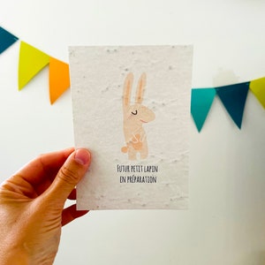 Annonce grossesse, futur petit lapin en préparation