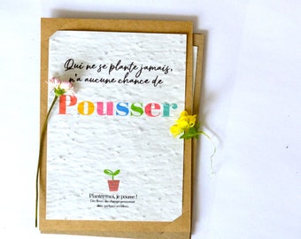 Seeded map . Map to plant . Growing paper. push. To grow up. who never crashes has no chance to grow