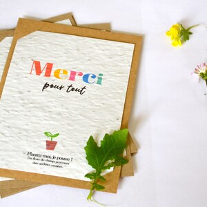 Karte eingesät. Karte zum Pflanzen. Growing Paper. Danke. Dankeskarte