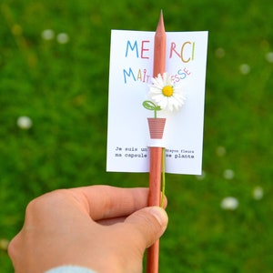 Lápiz de flores. lápiz que crece. regalo de amante. regalo maestro. gracias señora. regalos de la amante materna