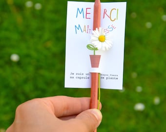 Flower pencil. pencil that grows. mistress gift. master gift. thank you mistress.gifts nursery mistress