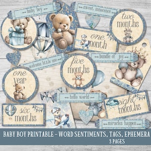 Palavras de menino, sentimentos de palavras para impressão, diário vintage de lixo para bebês, álbum de scrapbook de bebê, download instantâneo, marcos de menino