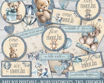 Baby boy words, printable word sentiments, vintage baby junk journal, baby scrapbook album, instant download, baby boy milestones