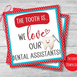 Etiqueta da Semana do Assistente de Dentista, etiqueta de agradecimento odontológico para impressão, etiquetas de 2,5", 3" e 3,5", presente para equipe de consultório odontológico