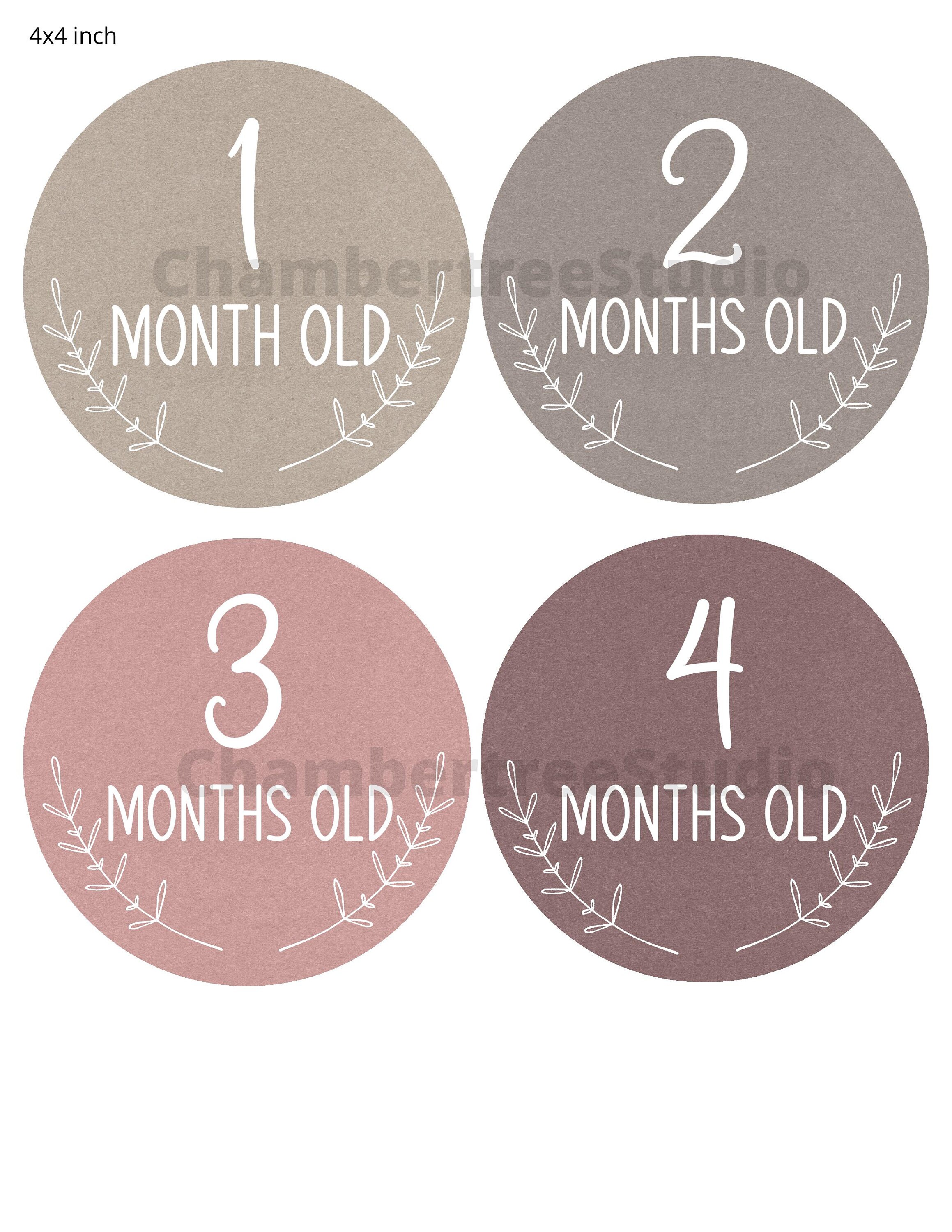Baby Monthly Milestones Printable Milestone Cards New Mom - Etsy