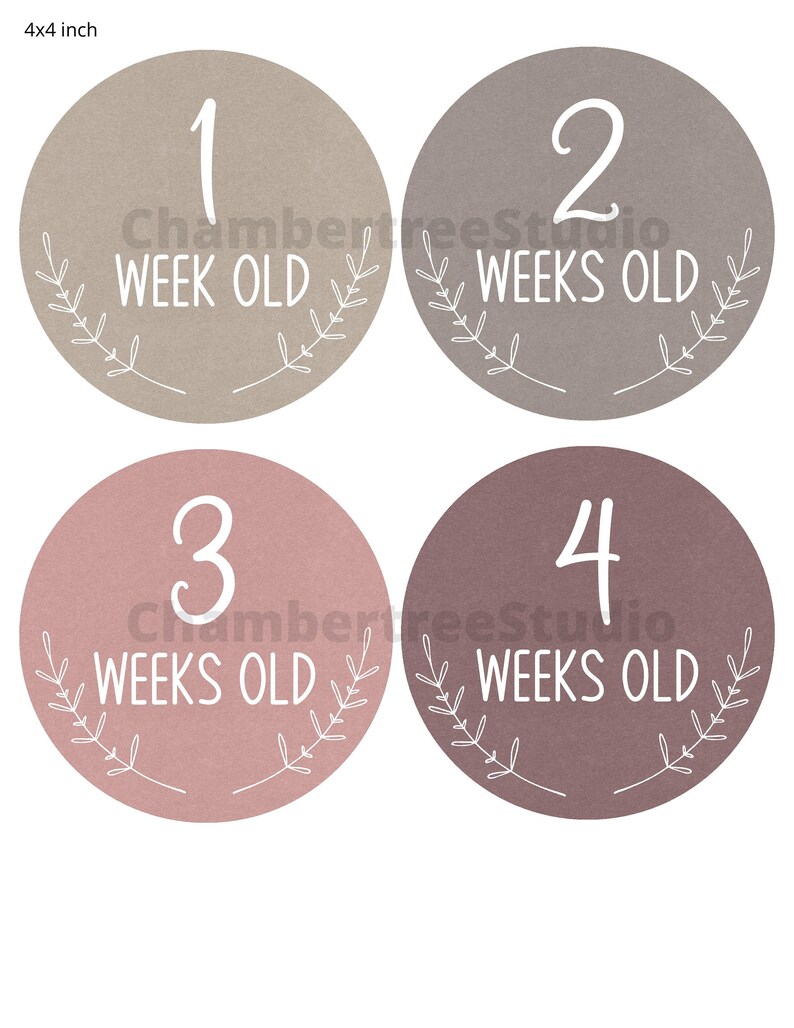 Baby Monthly Milestones Printable Milestone Cards New Mom - Etsy
