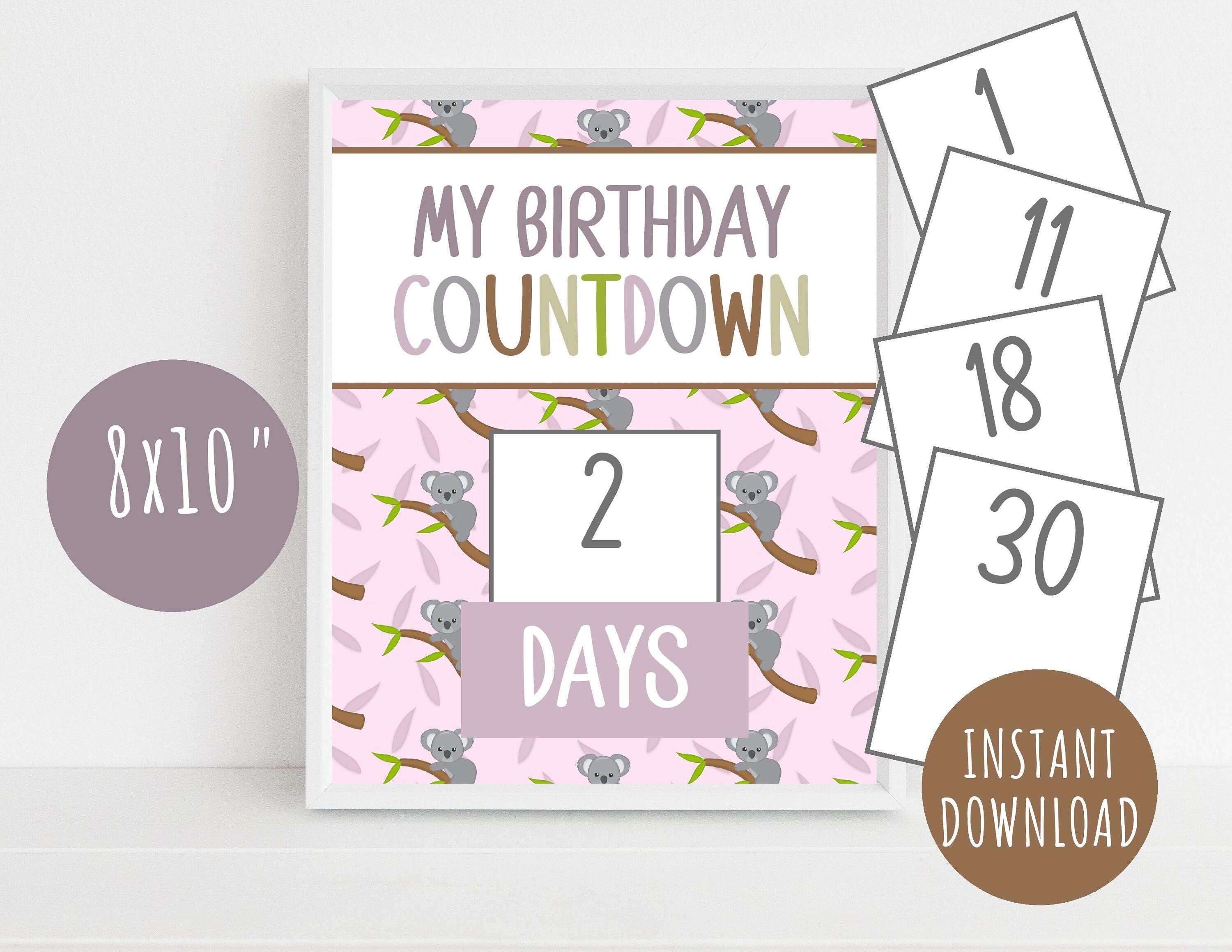 Birthday Countdown Calendar, Printable DIY Kids Birthday Countdown Sign ...