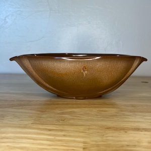 May include: A brown ceramic bowl with a glossy finish. The bowl has a unique, curved shape with a flared rim and a small, decorative detail on the front. The bowl is sitting on a wooden surface.