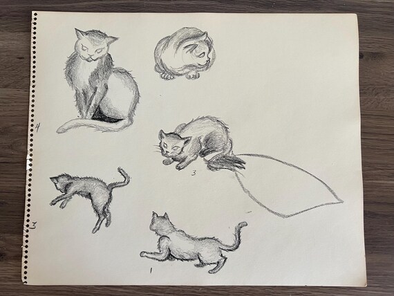 Original Cat Figure Study: Hand-Drawn Poses, Berry June Euler (17"x14")