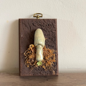 May include: A ceramic mushroom sculpture with a light blue glaze, mounted on a piece of wood with moss and dried flowers. The wood has a dark brown stain and a brass hanging loop.