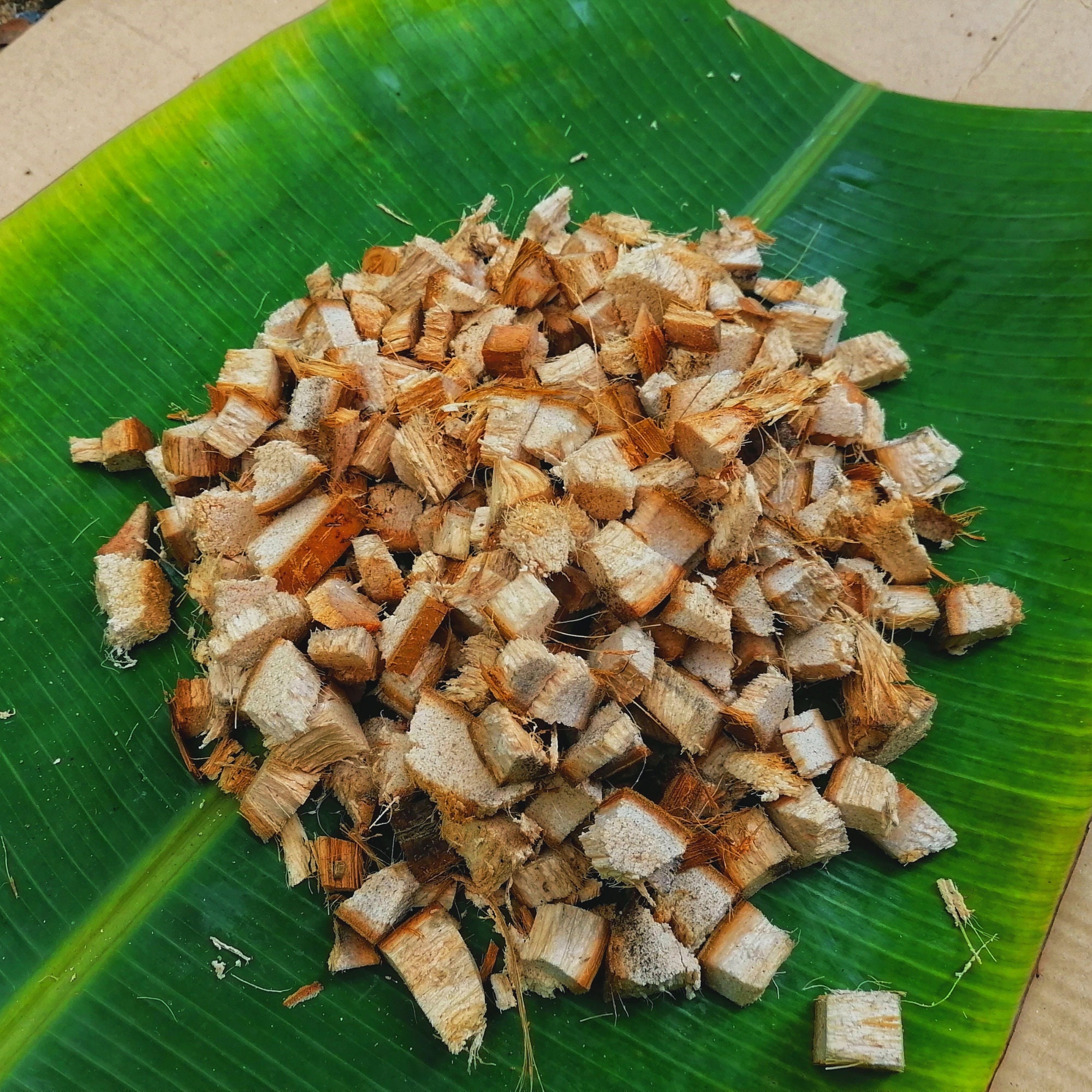 Coconut Husk Coir Chips. 100 Natural Organic for Orchids Etsy