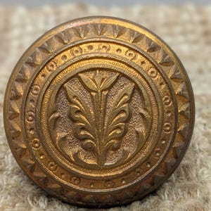 May include: A gold-toned metal door knob with a decorative floral design. The knob has a circular shape with a raised, textured border.