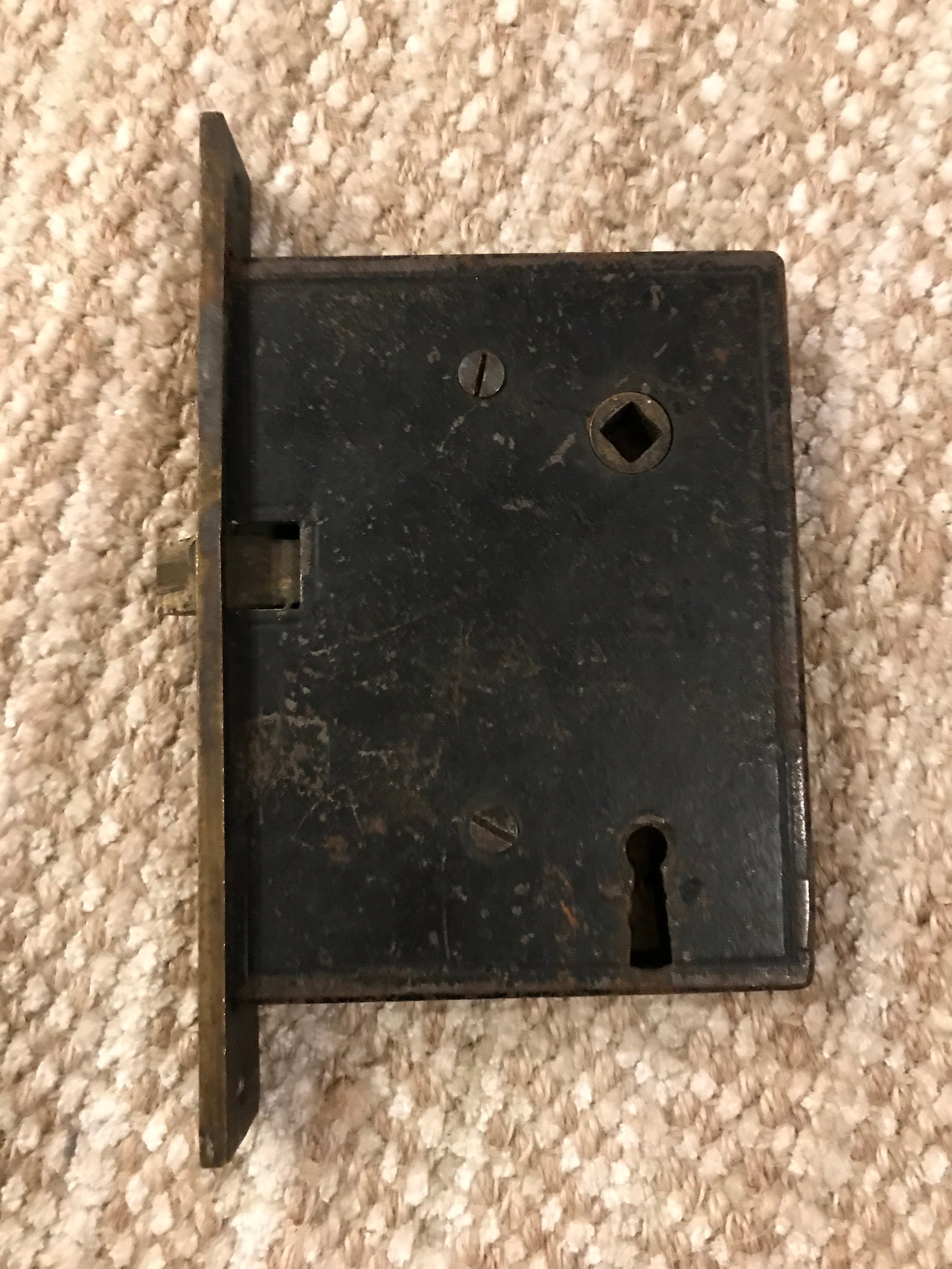  Mortise Lock Exterior Door with Simple Decor
