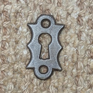 Op de afbeelding: Een zilveren sleutelgat afdekking met een decoratief ontwerp. De afdekking is gemaakt van metaal en heeft een gladde afwerking.