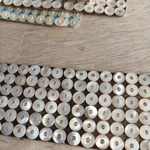36 Petits boutons de  nacre, 10 mm, sur carte, 1940's. 36 vintage small mother of pearl buttons