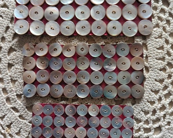 Cates di veri bottoni in madreperla blu, mm, su cartoncino, anni '40.bottoni in madreperla, 0"27