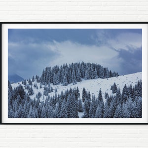 May include: A snowy mountain landscape with a dense forest of evergreen trees covered in frost. The sky is a light blue with white clouds.