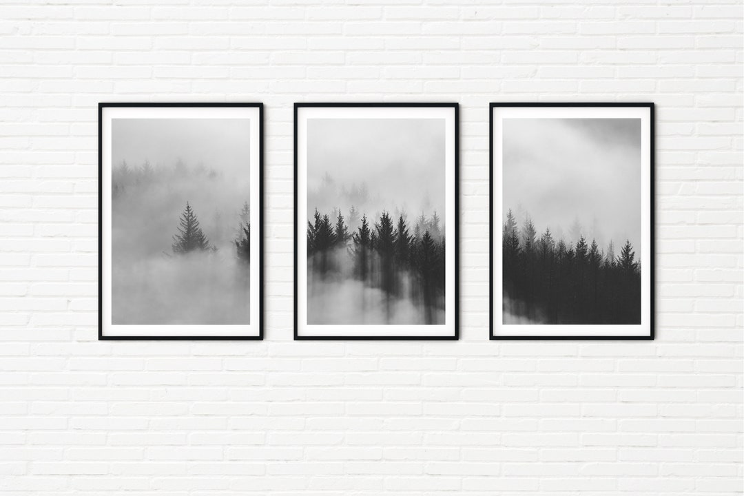 Black and White Misty Forest Nature Prints Framed | Set of 3 Forest ...