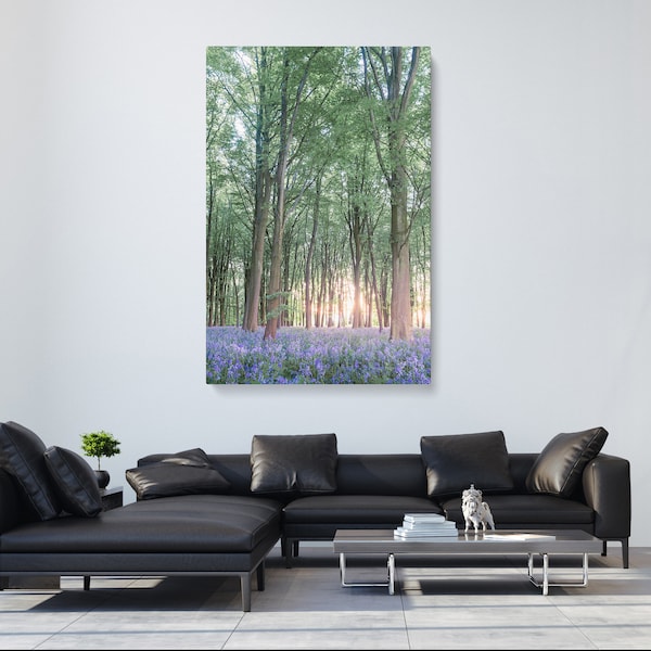 Bluebells Canvas Art Etsy