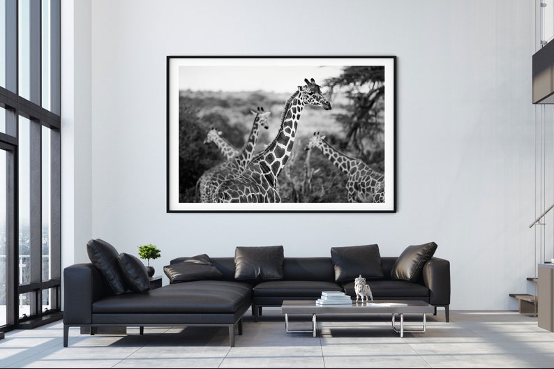 Giraffes Photography Print Black and White A4 Kenya Travel Prints A3 African Wildlife Pictures of Giraffes Animals in Nature Wall Art image 6