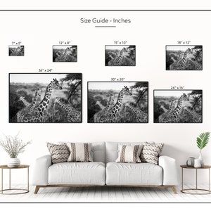 Giraffes Photography Print Black and White A4 Kenya Travel Prints A3 African Wildlife Pictures of Giraffes Animals in Nature Wall Art image 9