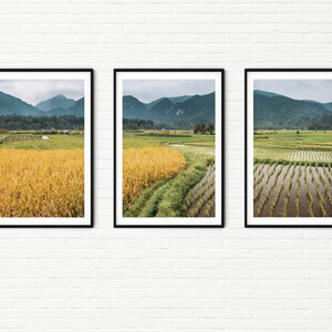Indonesien Reisedruck 3er Set Fotos | Gerahmte Landschaftsfotografie reisspaddies Paddy Fields | Wunderschöne Landschaft Schlafzimmer Wandkunst A3