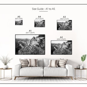 Giraffes Photography Print Black and White A4 Kenya Travel Prints A3 African Wildlife Pictures of Giraffes Animals in Nature Wall Art image 8