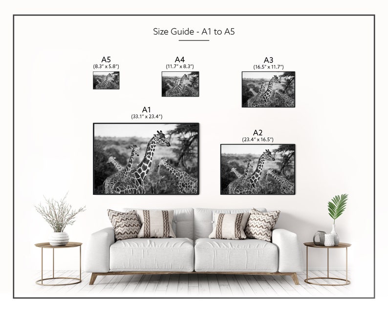 Giraffes Photography Print Black and White A4 Kenya Travel Prints A3 African Wildlife Pictures of Giraffes Animals in Nature Wall Art image 8